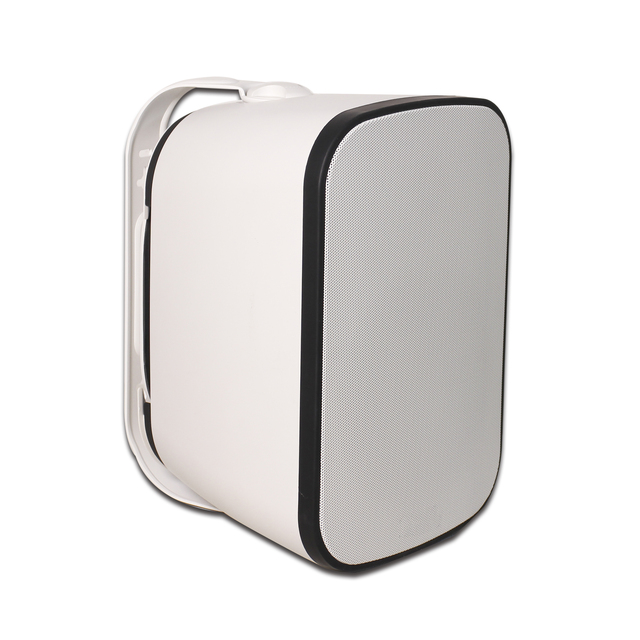V Dante Network Wall Speaker with IP66 Waterproof Outdoor for Audio Powerful Sound Wide Coverage Installation