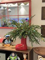 Feuillage d'hiver haut de gamme : Branche de Cryptomeria Fortunei fraîchement coupée pour couronnes de Noël, décoration de hall d'hôtel et événements, feuillage Sugi