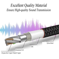 Câble de guitare électrique professionnel Rasantek 6,35 mm (1/4 pouce) blindé pour basse, batterie électronique, haut-parleur, fabriqué au Guangdong
