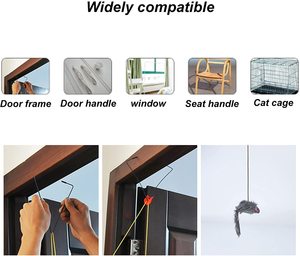 Egzersiz için yavru kapı pencere kedi kafes Pet kedi yusufçuk fareler oyuncak kediler oyuncaklar Teaser asılı - Product Image 3
