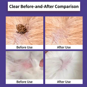 Spray de bain protecteur sans rinçage FURRIYO pour animaux de compagnie, prévention des puces et des poux, lavage sans rinçage 4-en-1 - Product Image 5