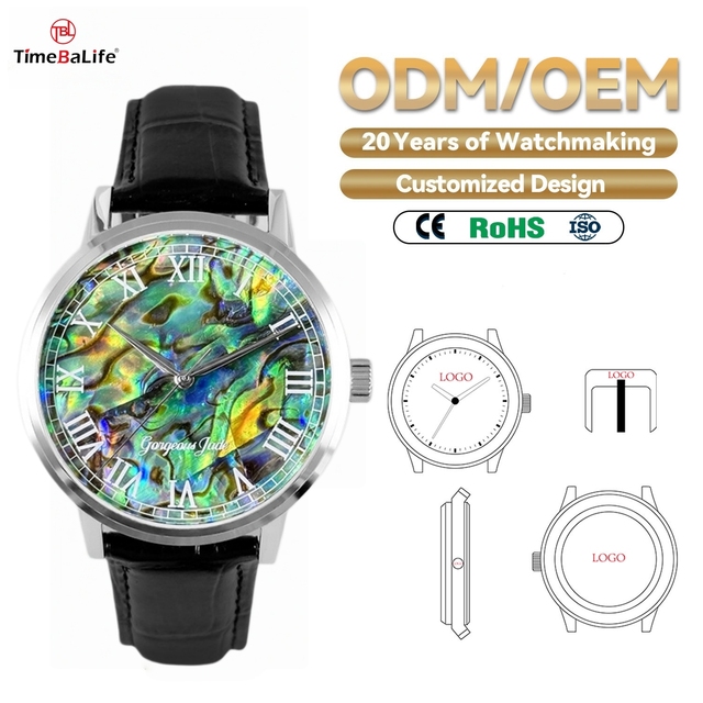One Stop Custom Service High-end Automatic Mechanical Men Watch 42MM Abalone Shell Dial Watches with Japanese Miyota Movement