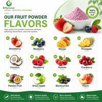 Bulk Fruitpoeder Collectie Aardbei Blauwe Bes Mango Framboos Cranberry Spraygedroogd Vriesgedroogd Poeder