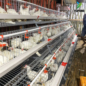 Jaulas <span class=keywords><strong>de</strong></span> batería automáticas <span class=keywords><strong>de</strong></span> tipo gallinero <span class=keywords><strong>de</strong></span> gran venta para gallinas <span class=keywords><strong>de</strong></span> <span class=keywords><strong>Guinea</strong></span> |   Capacidad para 90-160 Pollos |   Cría <span class=keywords><strong>de</strong></span> gallinas ponedoras - Product Image 1