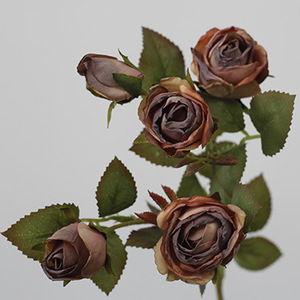 O-X237 Style européen 5 têtes Rose rétro en soie Fleur artificielle séchée Simulation Fleurs artificielles vintage Rose marron <span class=keywords><strong>café</strong></span> Tige de fleur artificielle - Product Image 6