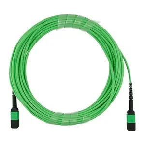 12 (Female) OM5 Multimode Elite Trunk Cable, 12 Fibers MTP to MTP