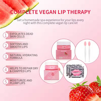 Soins des lèvres au sucre de pastèque naturel, marque privée OEM, ensemble 4 en 1, masque de nuit pour les lèvres et gommage pour les lèvres