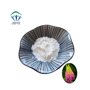 Factory Supply Pure Natural Lupinus Polyphyllus Extract 98% Lupeol
