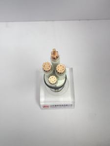 Câble <span class=keywords><strong>d</strong></span>'alimentation gainé <span class=keywords><strong>de</strong></span> <span class=keywords><strong>PVC</strong></span> blindé <span class=keywords><strong>de</strong></span> ruban <span class=keywords><strong>d</strong></span>'acier isolé par Xlpe <span class=keywords><strong>de</strong></span> noyau <span class=keywords><strong>de</strong></span> cuivre pour diverses occasions <span class=keywords><strong>de</strong></span> <span class=keywords><strong>pose</strong></span> <span class=keywords><strong>de</strong></span> porte <span class=keywords><strong>d</strong></span>'entrée/sortie - Product Image 4