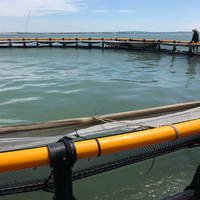 Cage de pêche carrée en PEHD de 6x6m Cage de pisciculture flottante pour la pisciculture dans l'équipement de pisciculture en rivière ou en lac