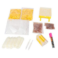 Kit de caja de cría de reina de apicultura, jaula de plástico para marcar abejas, tazas de celda, jaula de gelatina real para abejas