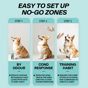 بخاخ حثي عالي الجودة طارد للقطط للمناطق المحظورة للحيوانات الأليفة يمنع القطط من التبول منتج الحيوانات الأليفة - Product Image 3