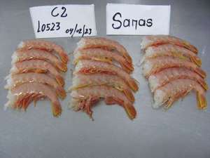 Tôm Đỏ Argentina Đông Lạnh Mùa Mới - Product Image 4