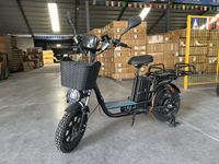 Bicicleta Eléctrica Plegable de 16 Pulgadas, 500w, 800w, 1000w, 48v, 60v, 72v, con Llantas Gruesas, para Adultos