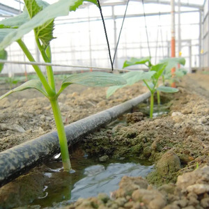 Fournitures de jardinage Système d'irrigation goutte à goutte pour 1 <span class=keywords><strong>hectare</strong></span> Noir Bande d'irrigation goutte à goutte à émetteur plat de 16 mm Bande d'irrigation goutte à goutte à émetteur plat de 16 mm pour l'eau - Product Image 6