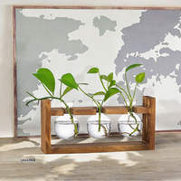 Vente chaude écologique Durable carré de table hydroponique jardinière en verre support en bois Terrarium Vase Pots de fleurs forme d'ampoule
