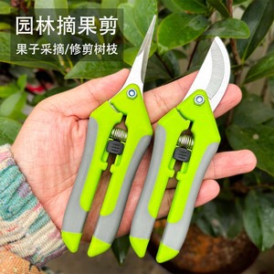 Garden Fruit Picker Shears Stainless Steel 10-20 Mm Bypass Pruner Green Right Hand For <b>Tree</b> Branches Vegetable Harvesting - Product Image 2