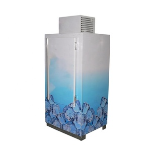 Congelatore verticale per blocchi di ghiaccio, porta singola, porta solida, raffreddamento diretto, congelatore commerciale per la conservazione di bevande all'aperto - Product Image 2