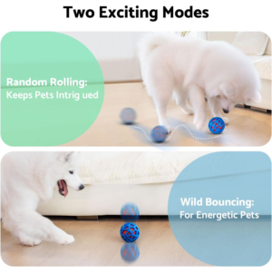 Nuovi Arrivi: Palla Giocattolo Blu in Gomma per Cani, Lussuosa e Interattiva per Interni - Product Image 2