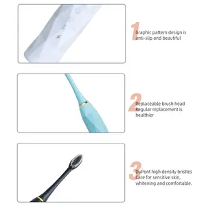 TONGWODE Rechargeable Sonic Toothbrush For Adult Electric Toothbrushes 4 PCS Soft Bristles Toothbrush Electric Customize LOGO