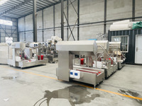 Vente chaude Bottes Station De Lavage Machine De Station D'hygiène Équipement De Nettoyage