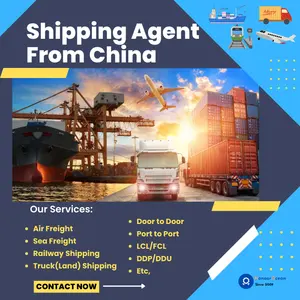 Dropshipping Agent Shopify China to USA/Europe/UK Canada Whole World by YunExpress/4PX /UPS/ DHL