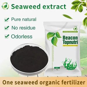 משואה אבקה אורגני אצות אצות excract פתית דשן של דשן אורגני כמו דשן מוצרים קמח עצמות - Product Image 4