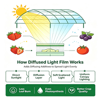 Film de serre en polyoléfine (PO) diffuseur de lumière en gros, film de couverture agricole à haute transmission pour serres de légumes