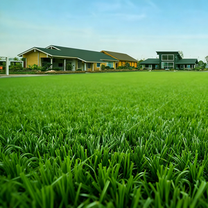 جدار أخضر اصطناعي عالي الجودة / خلفية عشب صناعي / عشب صناعي، سجادة عشب اصطناعي - Product Image 3