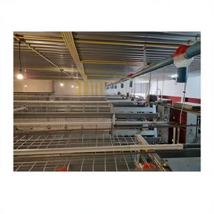 Cages à poules pondeuses de type ferme petite exploitation, modèle PH3200, garantie 1 an, galvanisées - Product Image 1