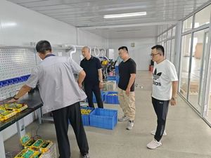 ราคาไซเรนเตือนภัย 24 โวลต์ - Product Image 5