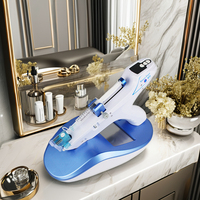 Appareil de mésothérapie par électroporation portable MesoGun, machine d'injection, rajeunissement de la peau, blanchiment du visage, électrode sans aiguille