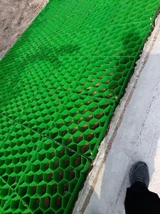 Griglia per <span class=keywords><strong>Pavimentazione</strong></span> in HDPE su Misura, Griglia Permeabile per Drenaggio, per Garage Sotterranei e Aree Verdi - Product Image 3