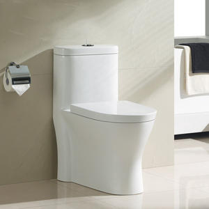 WC monobloc à double chasse siphonique, très demandé sur le marché mexicain - Product Image 2
