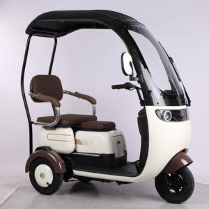 Voiture électrique fermée tricycle électrique à trois roues <span class=keywords><strong>scooter</strong></span> avec approbation CEE <span class=keywords><strong>3</strong></span> trois escooter 1500W vente à bas prix - Product Image 3