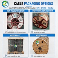 Câble ABC en aluminium isolé en PVC, câble électrique aérien pour ligne de transmission aérienne