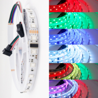 Bande lumineuse LED flexible TRX DMX512 DC24V avec télécommande RGB, bande lumineuse LED SMD 5050 RGB étanche intelligente pour la décoration