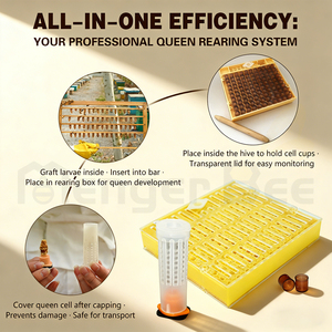 ชุดอุปกรณ์เลี้ยงผึ้งขายส่งใหม่ ระบบเลี้ยงราชินี ตะแกรงรังผึ้งและกรงป้องกันรังผึ้ง 10 เฟรม - Product Image 1