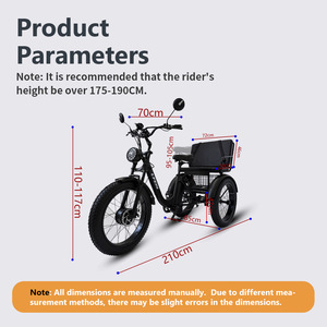 Triciclo Eléctrico Todoterreno con Llantas Anchas, Bicicleta de 3 Ruedas para Adultos, para Nieve, Playa, Montaña y Conducción Fuera de Carretera - Product Image 2