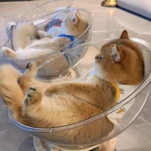 كبسولة فضاء كلاسيكية-طاولة دوارة من خشب الأكريليك الصلب الصديق والصديق-مستلزمات لعب القطط والحيوانات الأليفة لجميع المواسم - Product Image 3