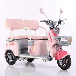Transport 1000W <span class=keywords><strong>roue</strong></span> spéciale 3 roues adultes tricycles électriques vélo motorisé scooters de mobilité pour l'utilisation de la cargaison - Product Image 4