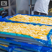 Liofilizador TT de 10 kg, 50 kg, 100 kg, 200 kg, 500 kg y 2000 kg para Verduras, Frutas, Leche, Lácteos, Alimentos para Mascotas, Carne y Viales, Máquina de Secado por Congelación