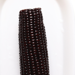 Tube en cire de maïs noir refroidi sous vide, pochette pour tressage - Product Image 4