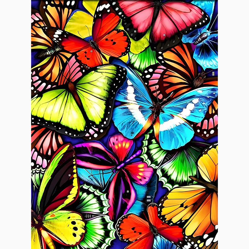 Papillons 6