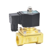 1.5 3 pouces 2 voies gaz pincée pièces automobiles en laiton électrovanne