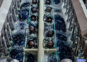 آلة طلاء النحاس بالقصدير الأوتوماتيكية للوحات الدوائر المطبوعة مع محرك عالي السعة، معدات طلاء بالقصدير كهربائيًا صناعية أوتوماتيكية بالكامل - Product Image 2