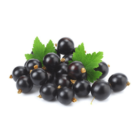 Fabriek Levering Zwarte Bes Zwarte Bes Fruit Poeder Zwarte Bes Poeder