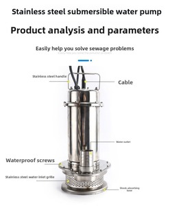 Bomba de Agua Sumergible de Acero Inoxidable 304 de Alta Presión, 220V, para Uso Doméstico y Agrícola - Product Image 2