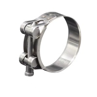 Les fabricants européens de colliers de serrage en acier inoxydable fournissent 201/304 colliers de serrage avec finition en zinc