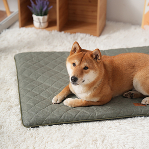 2025 nuevo fabricante Dropshipping gran cubierta lavable extraíble cama para perros alfombra plana lujo azul marino corto felpa ortopédica alfombra para mascotas - Product Image 5